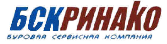 Ринако — клиент компании «Синий Шар»