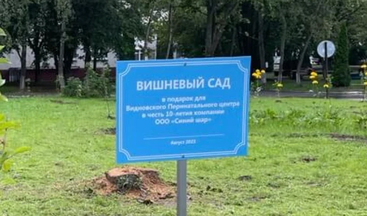 Компании Синий Шар – 10 лет. Необычный юбилей.